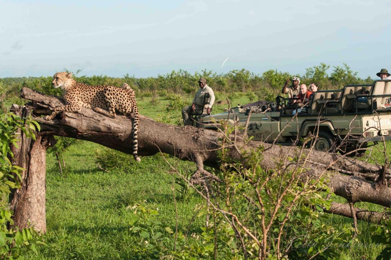 Inyati Game Lodge Sabi Sand Game Reserve Exteriér fotografie